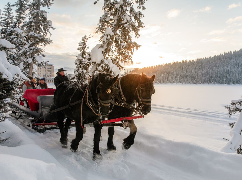 A group of people on a sleigh ride in Banff National Park