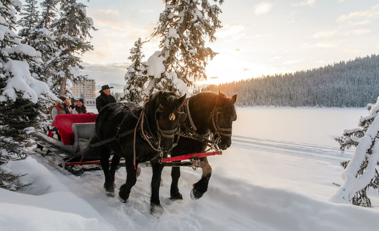 A group of people on a sleigh ride in Banff National Park