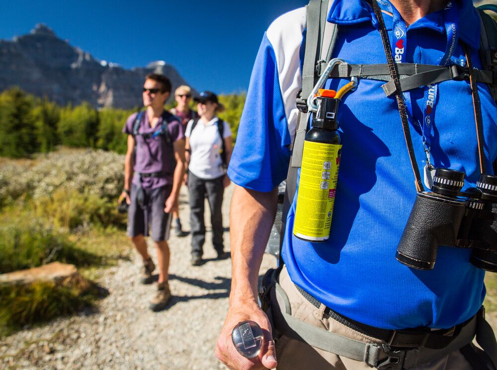 A group of people on a guide hike in Banff National Park
