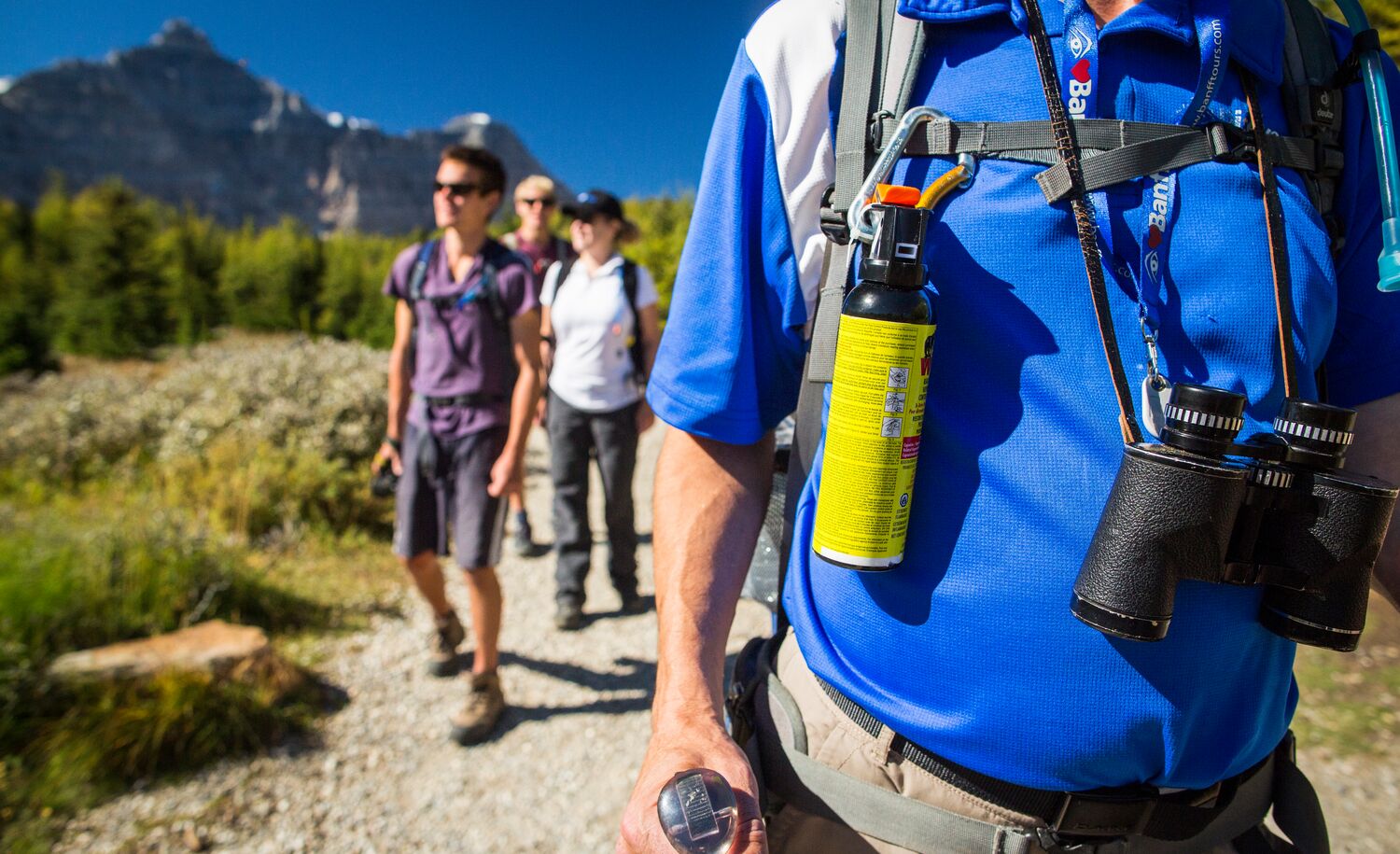 A group of people on a guide hike in Banff National Park