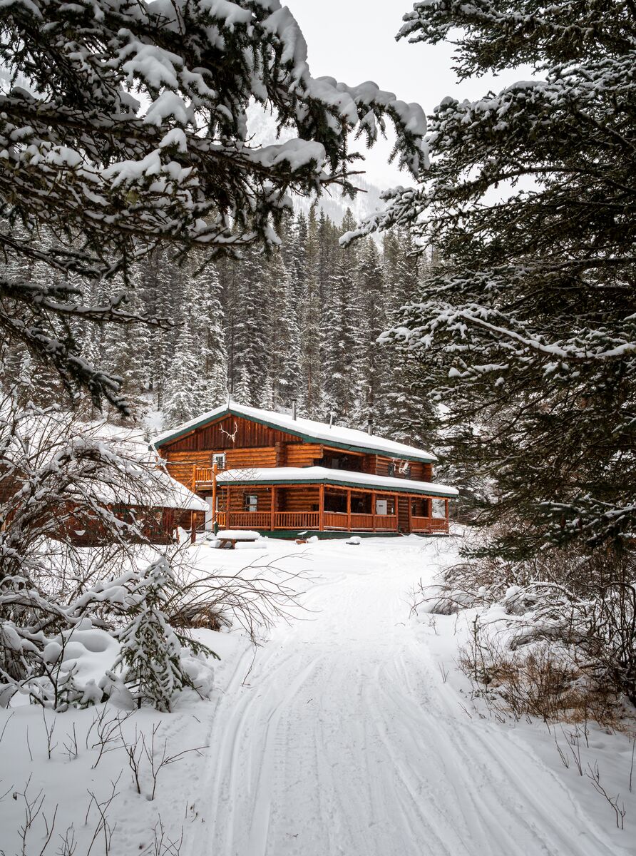 Sundance Lodge through trees in the winter in Banff National Park.