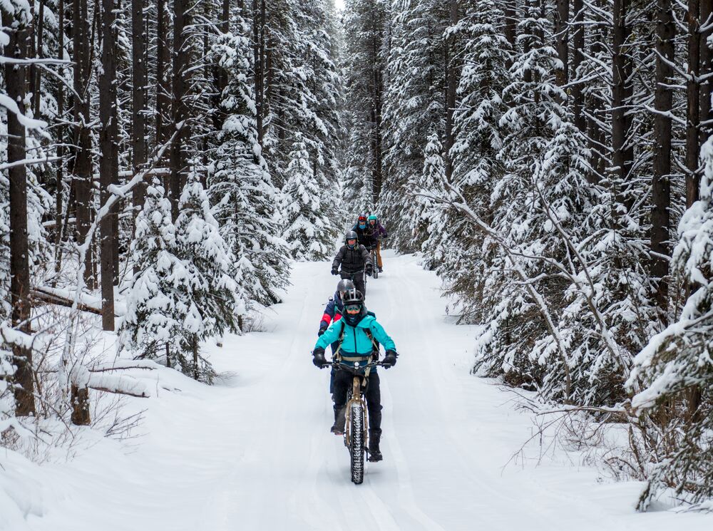 A guided e-fat biking tour rips through a snowy forest in Banff National Park.