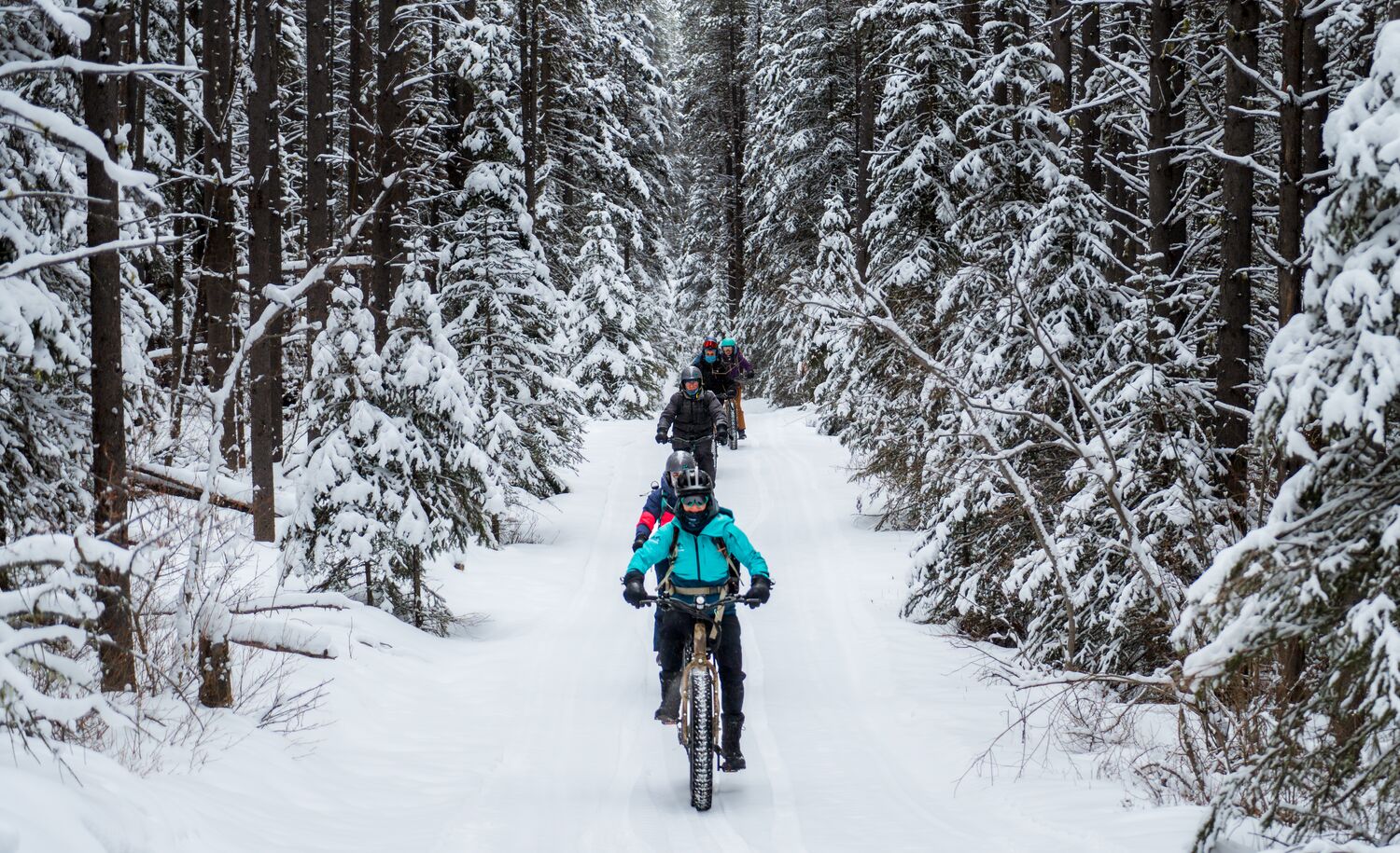 A guided e-fat biking tour rips through a snowy forest in Banff National Park.