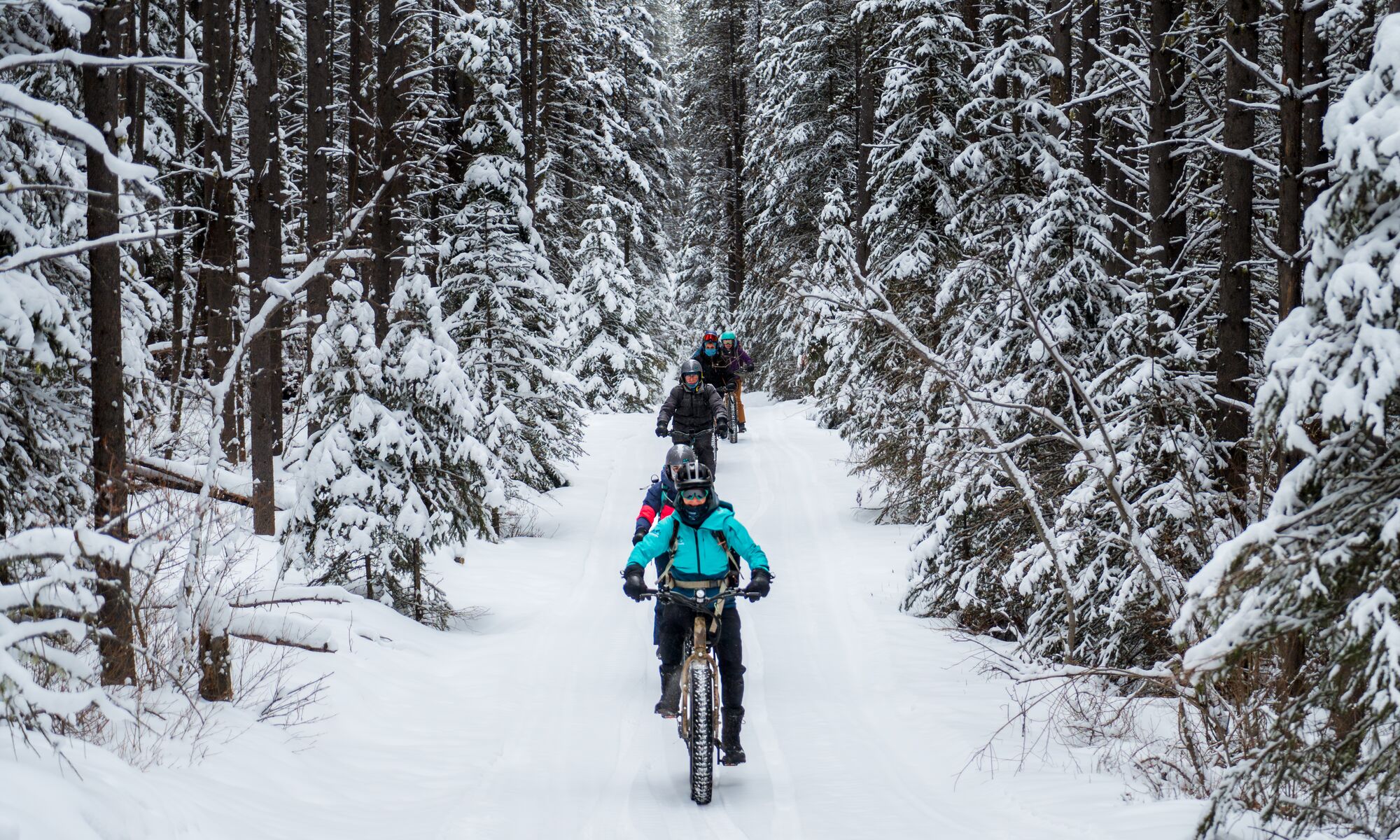 A guided e-fat biking tour rips through a snowy forest in Banff National Park.