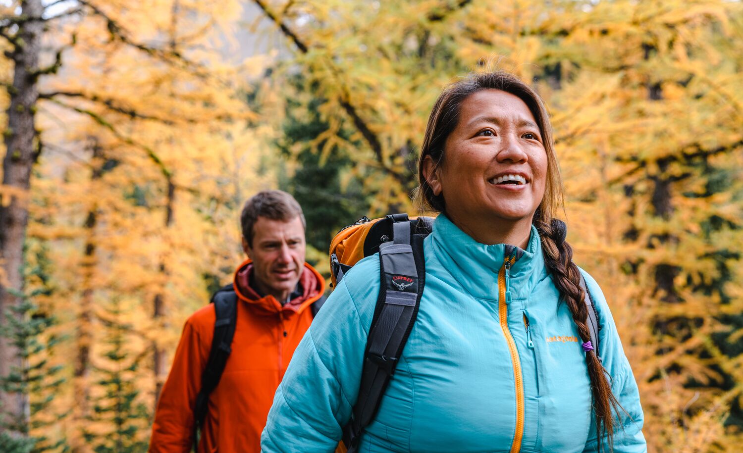 Two people hiking through larch trees in Banff National Park