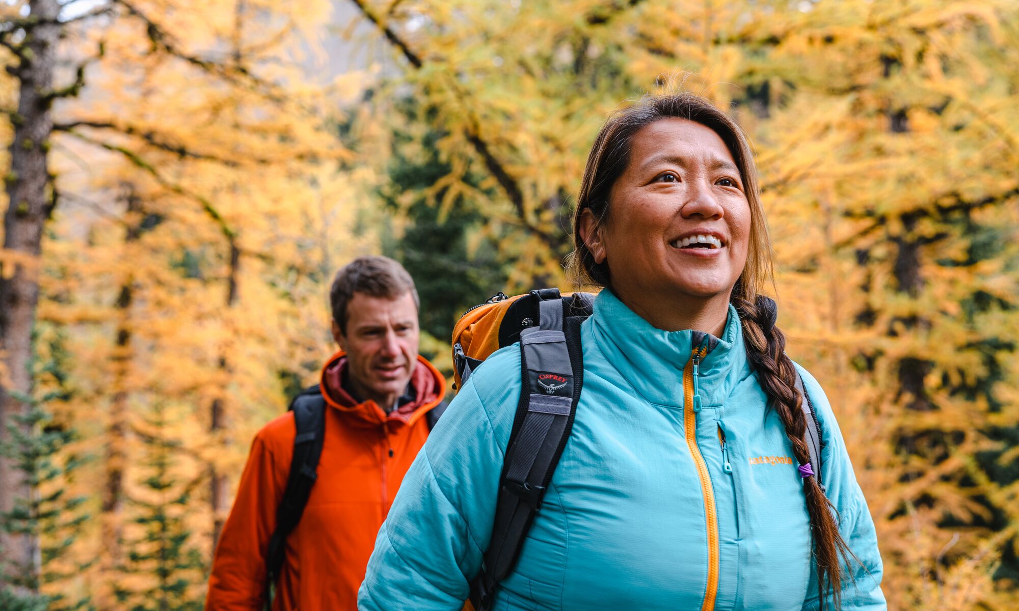 Two people hiking through larch trees in Banff National Park