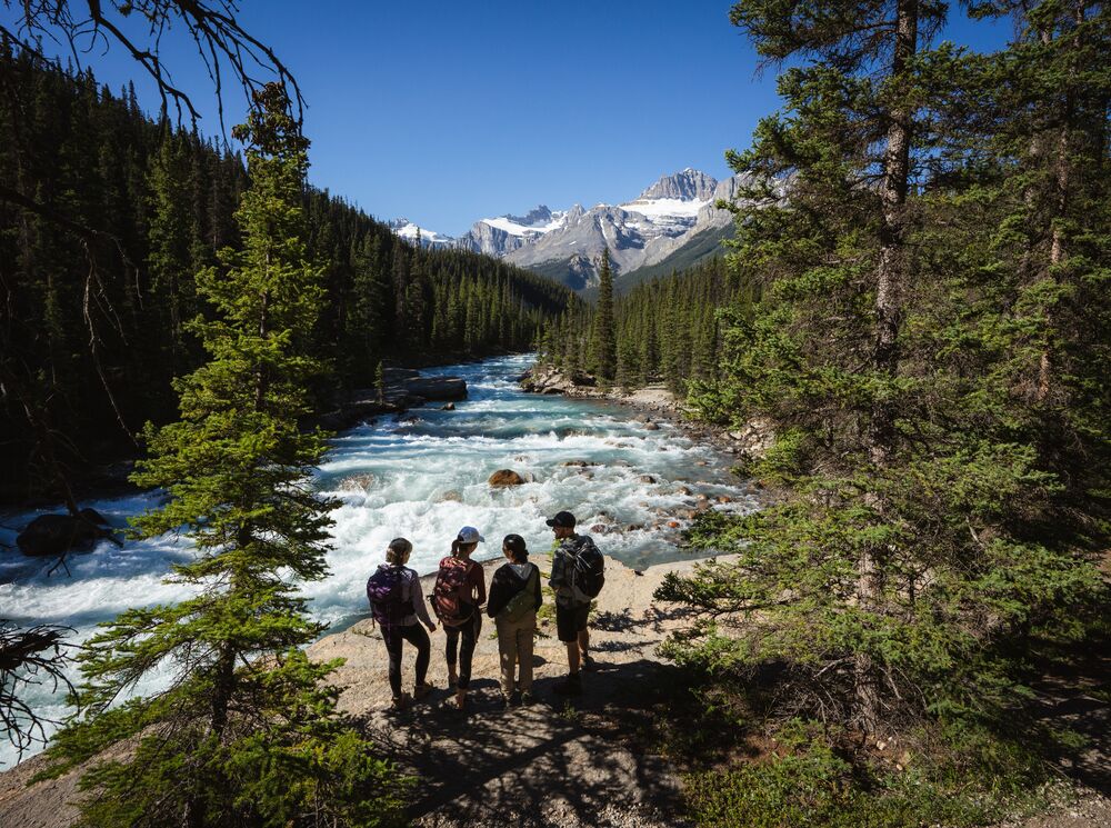 Four people looking down on a waterfall in Banff National Park