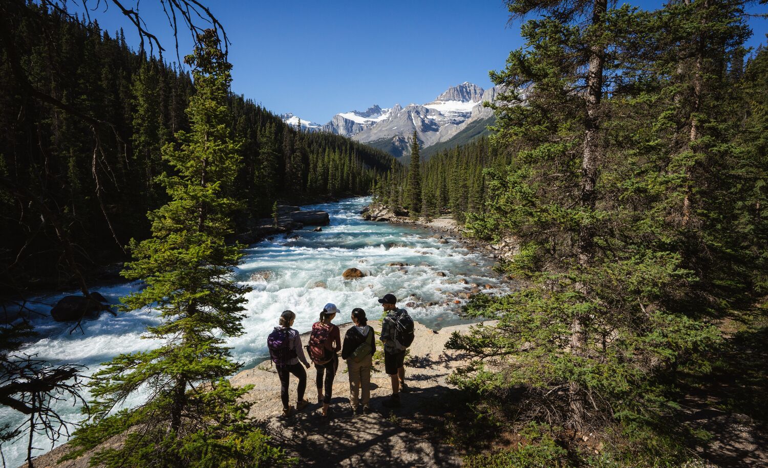 Four people looking down on a waterfall in Banff National Park