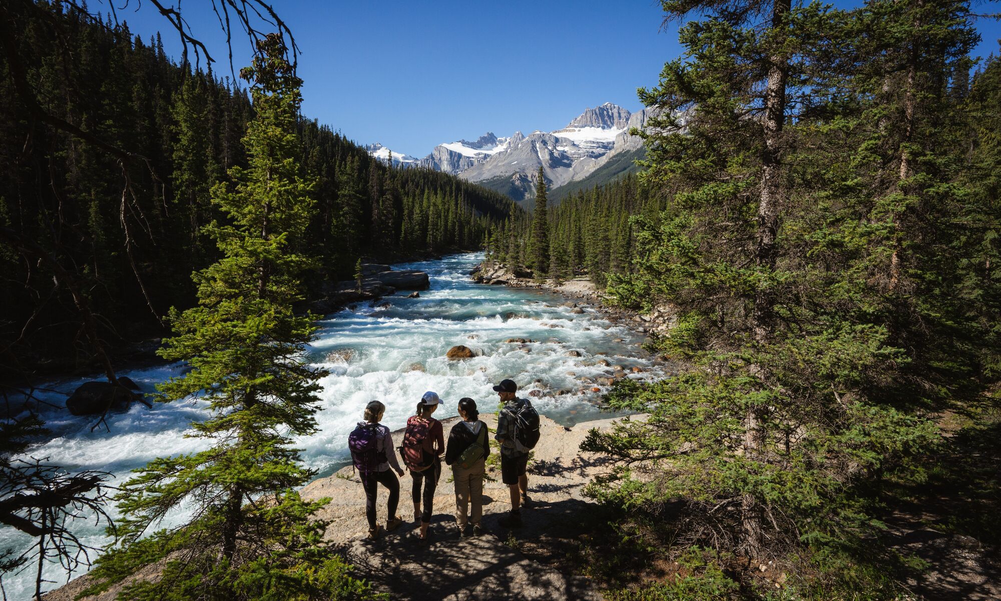 Four people looking down on a waterfall in Banff National Park