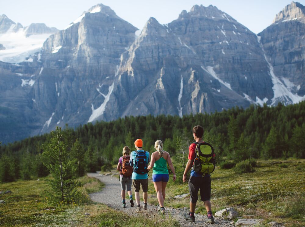 Four people hike in Banff National Park in the summer in Larch Valley near Moraine Lake.
