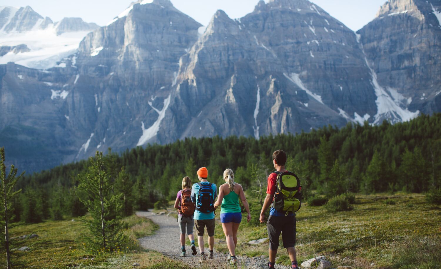 Four people hike in Banff National Park in the summer in Larch Valley near Moraine Lake.