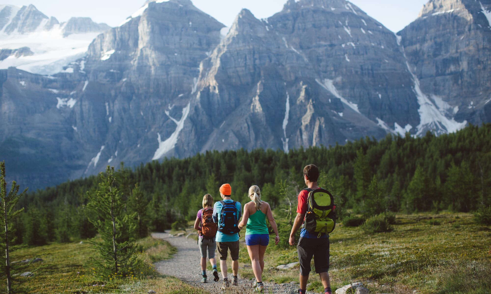 Four people hike in Banff National Park in the summer in Larch Valley near Moraine Lake.