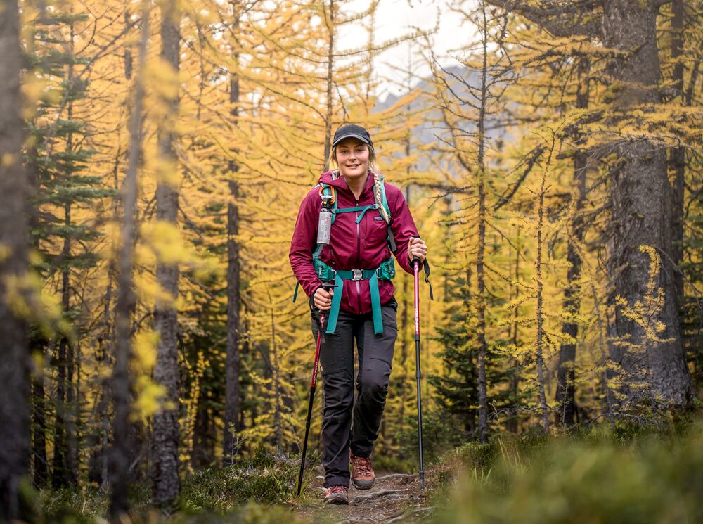 A women hiking through larch trees in Banff National Park