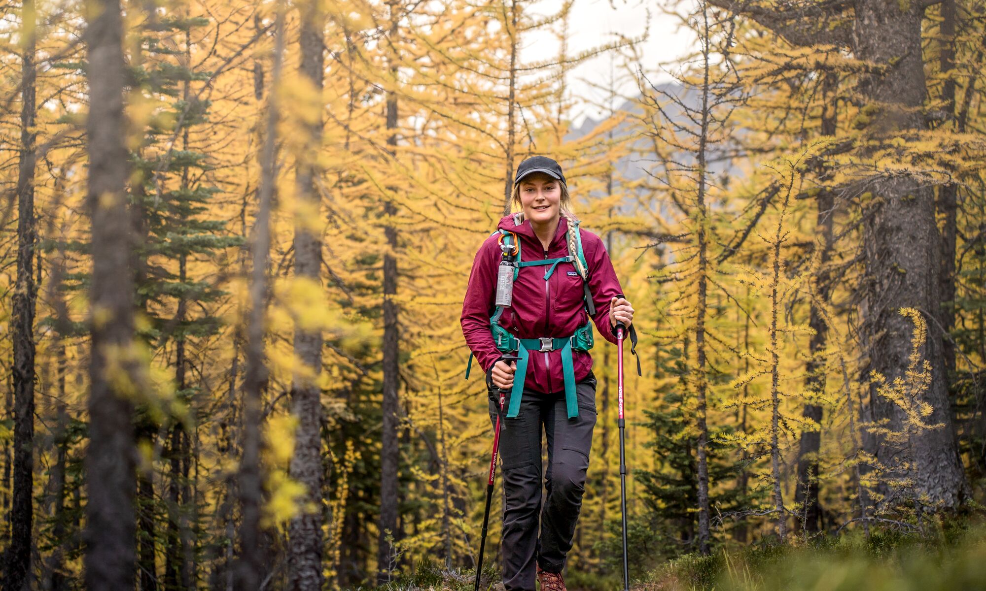 A women hiking through larch trees in Banff National Park
