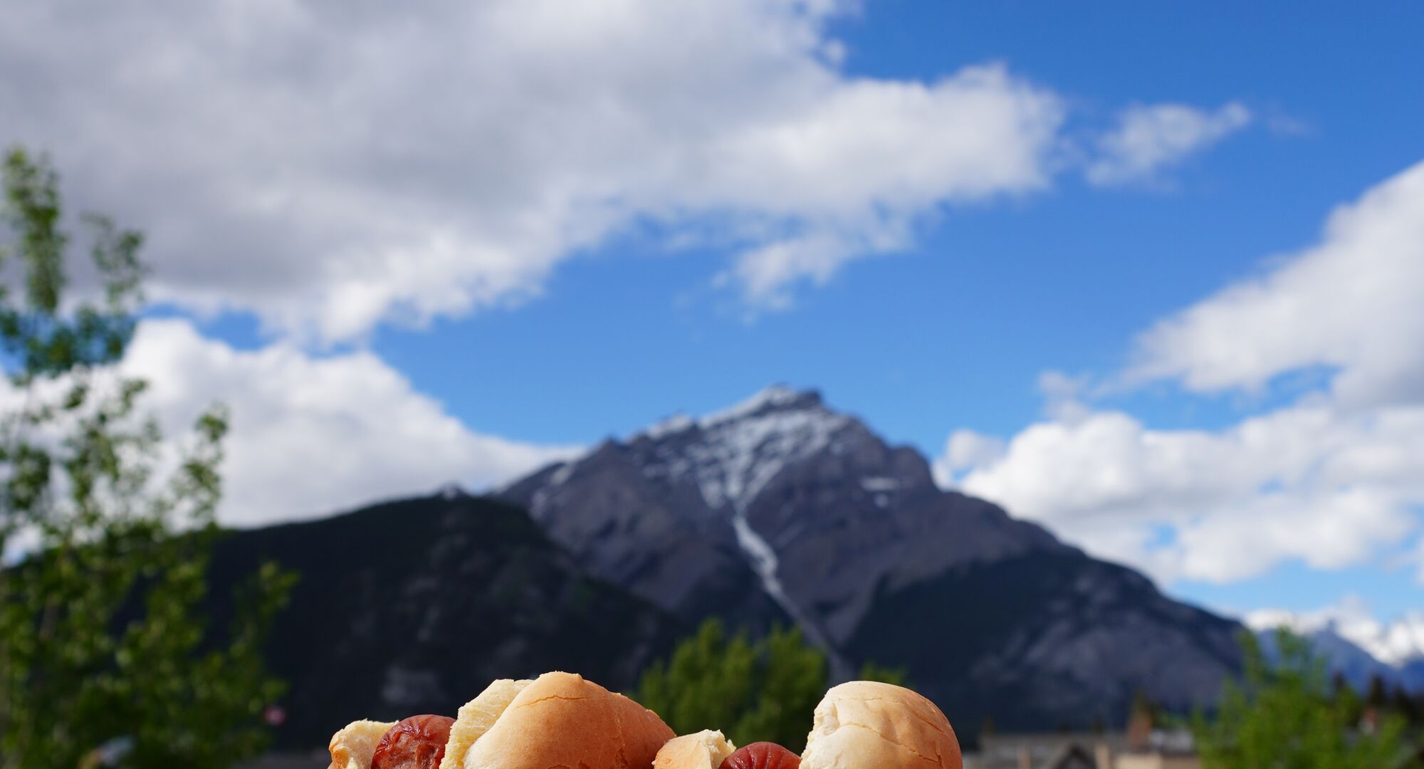 Hot Dogs