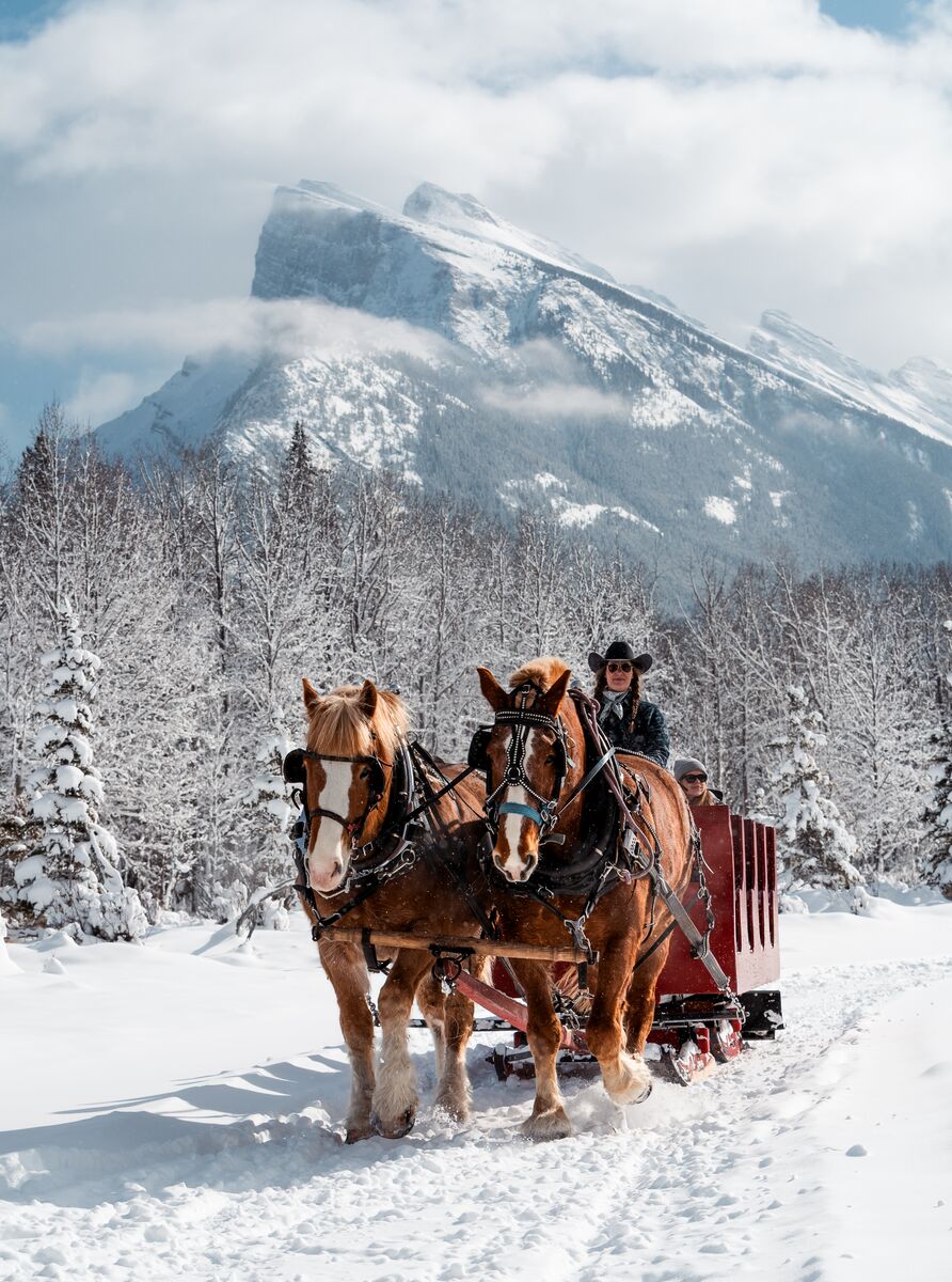 People on a sleigh ride in wither with the Banff Trail Riders in Banff National Park 