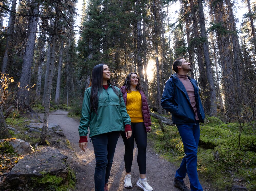 Three people walk in the trees at Lake Louise o a bike in Banff National Park.