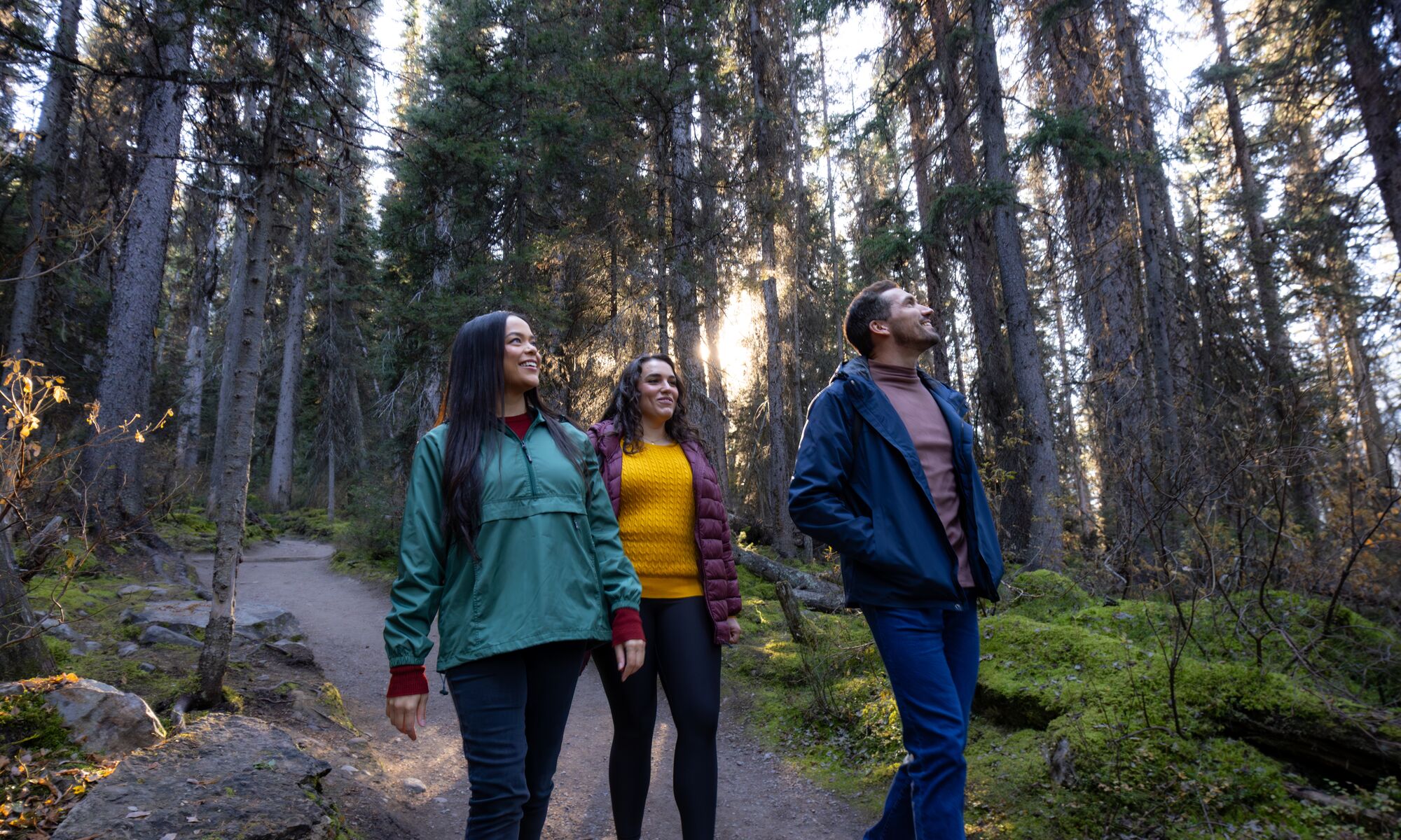 Three people walk in the trees at Lake Louise o a bike in Banff National Park.