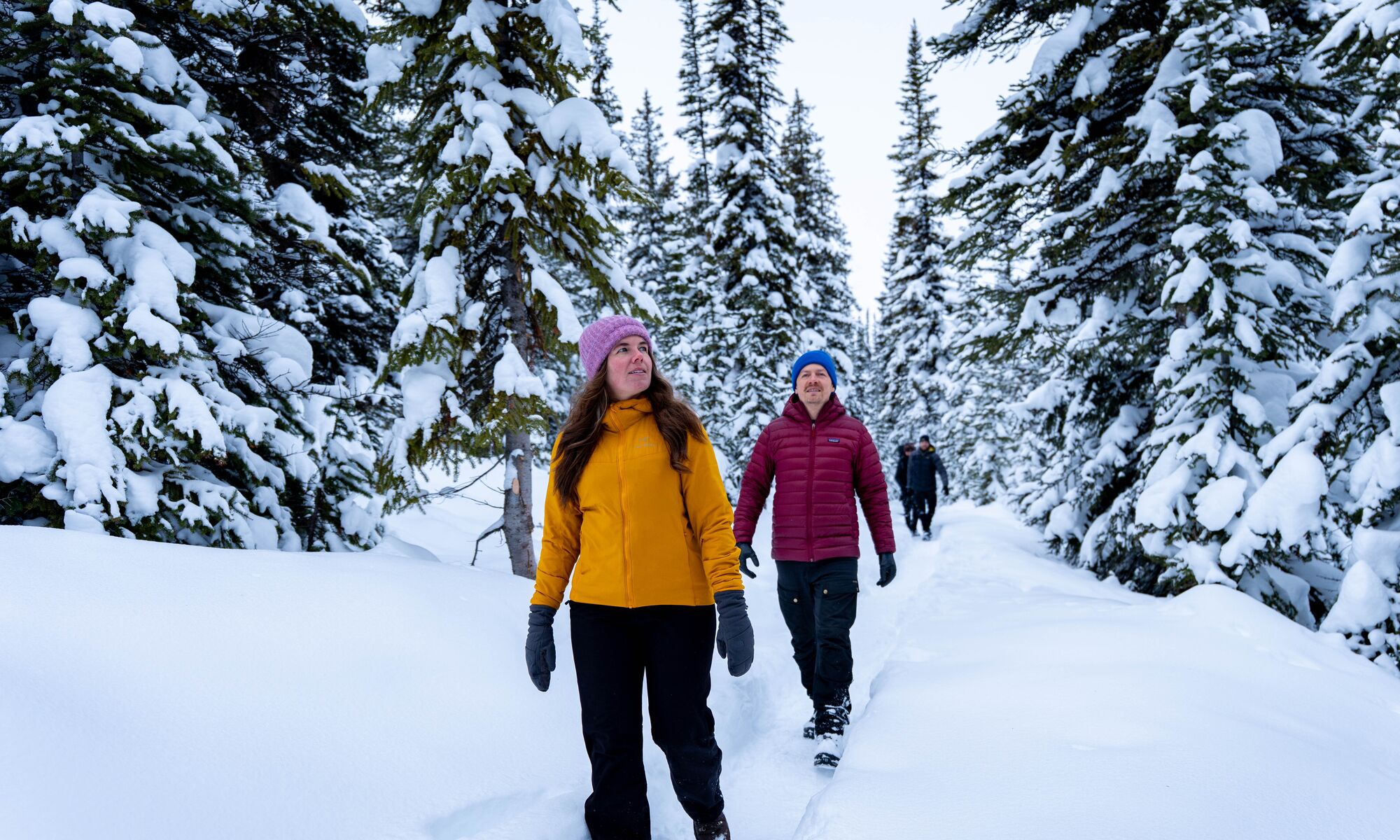 Two people hike on a snowy winter trail in Banff National Park surrounded by snow-laden trees.