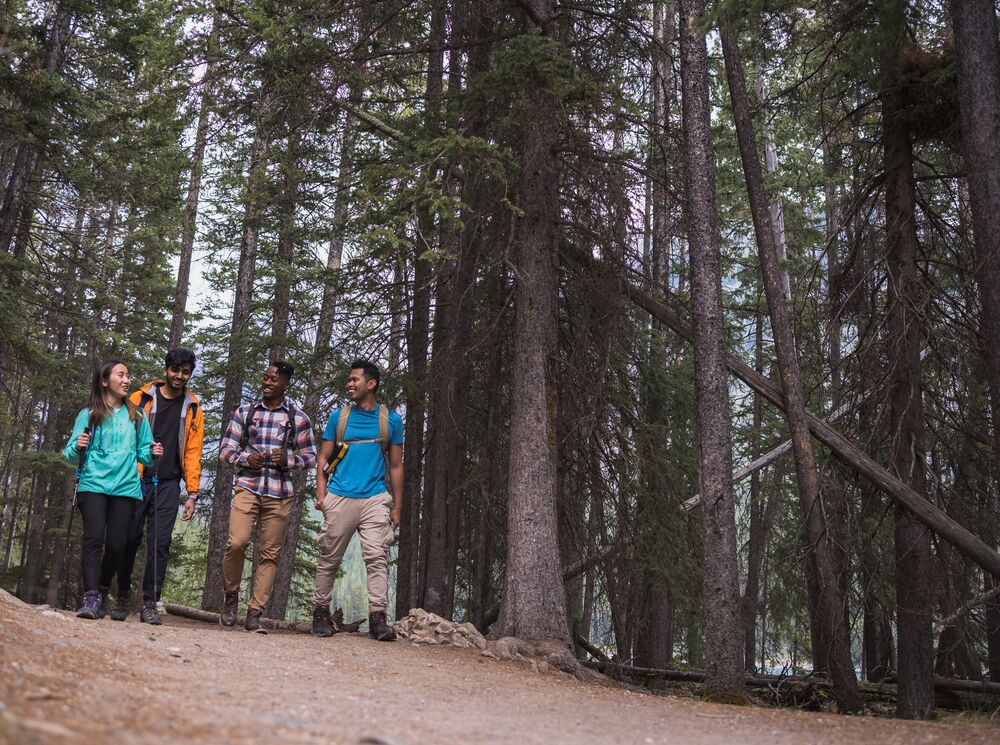 Four friends hike along a forested trail near Lake Minnewanka in the summer in Banff National Park.