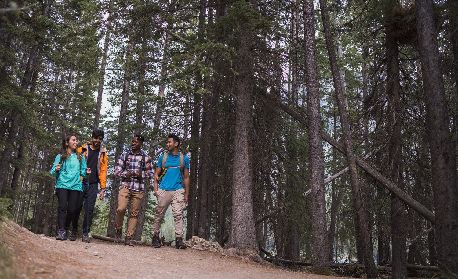 Four friends hike along a forested trail near Lake Minnewanka in the summer in Banff National Park.
