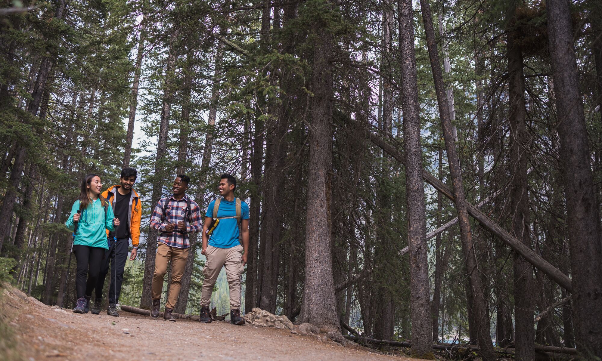 Four friends hike along a forested trail near Lake Minnewanka in the summer in Banff National Park.