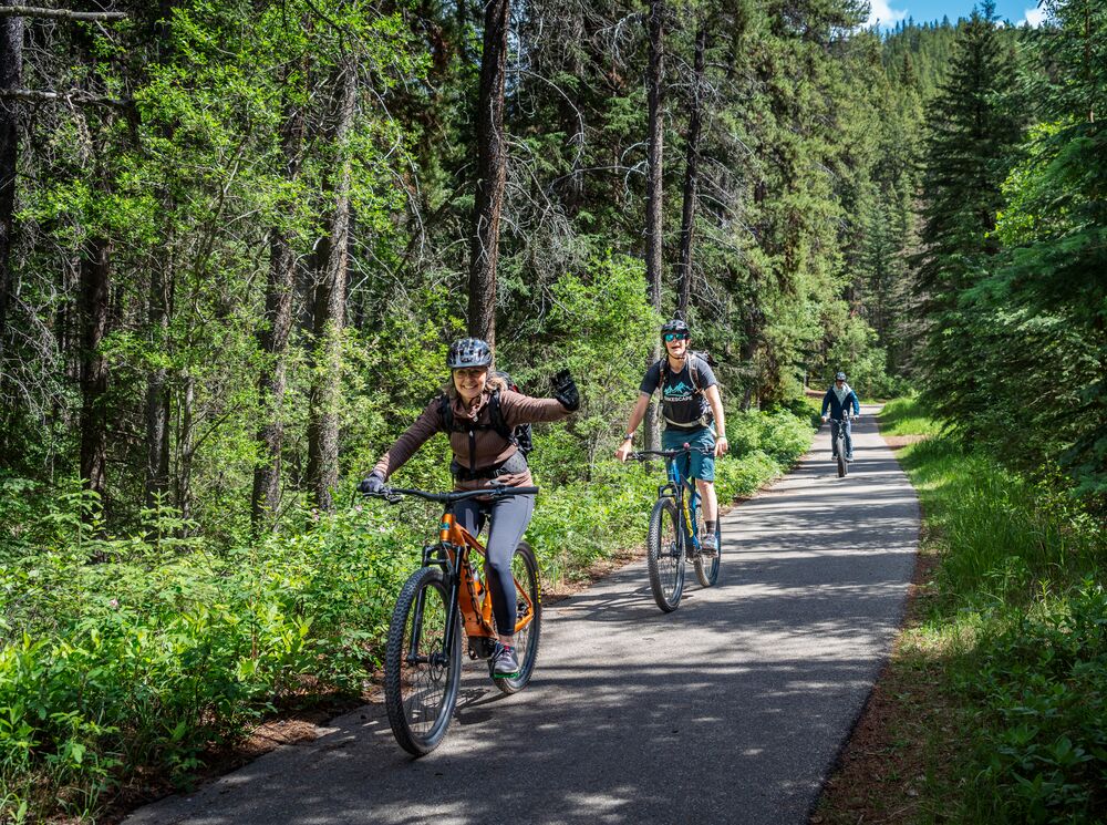 A group of people ride down a treed route while biking in Banff National Park.
