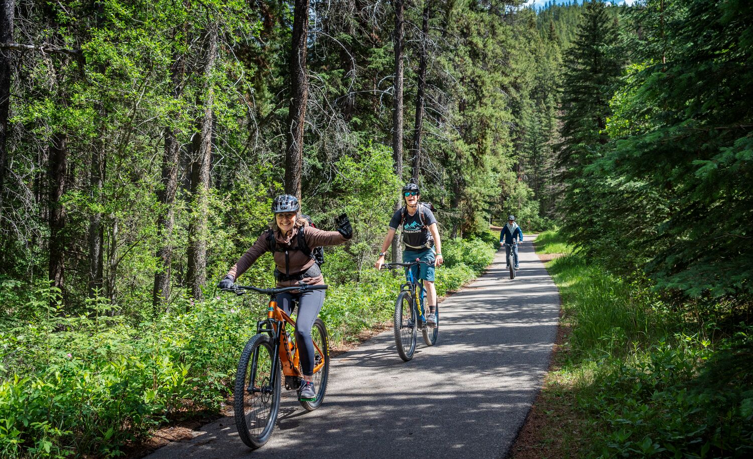 A group of people ride down a treed route while biking in Banff National Park.