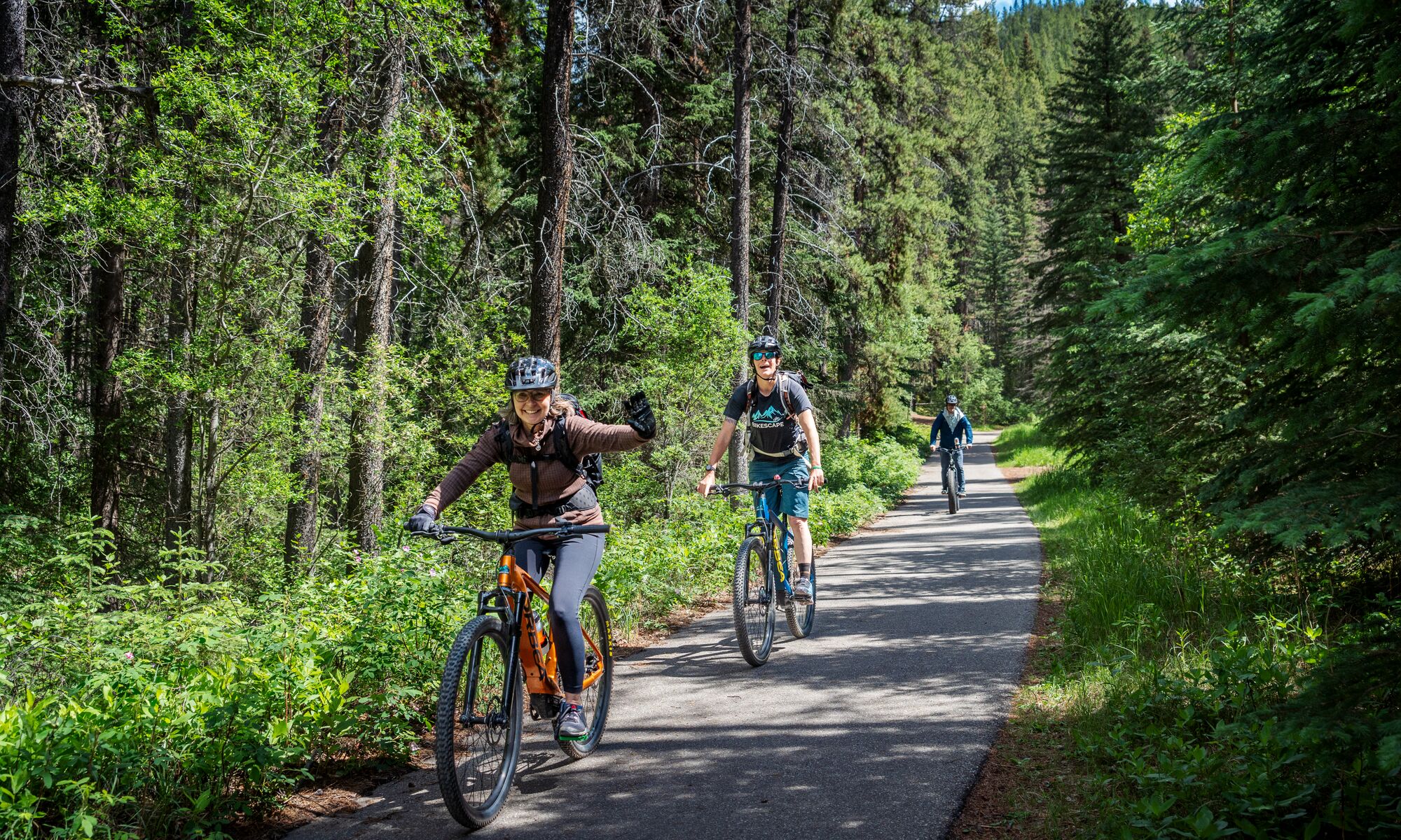 A group of people ride down a treed route while biking in Banff National Park.