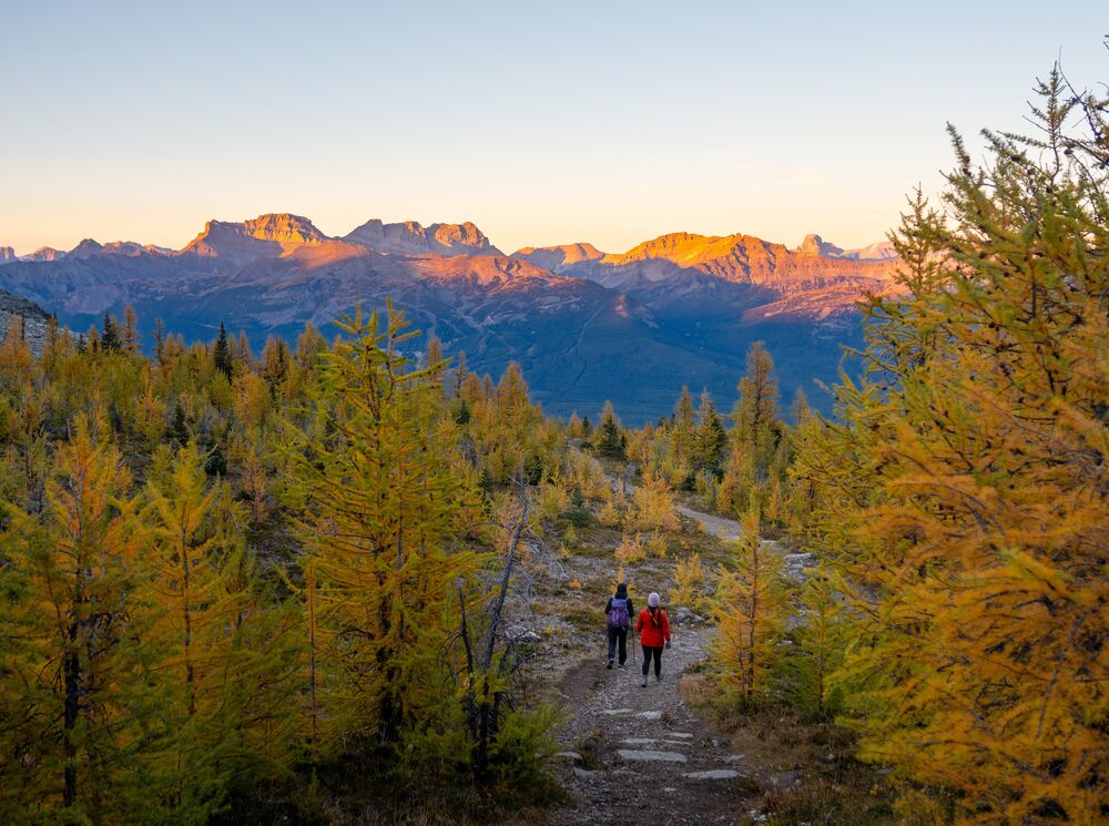 Two people hike in Saddleback Pass at Lake Louise in Banff National Park at sunset.