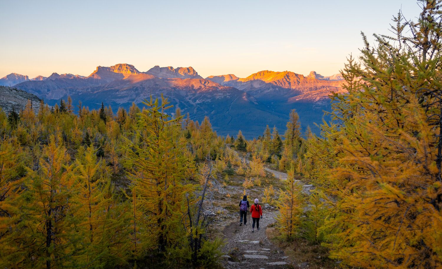 Two people hike in Saddleback Pass at Lake Louise in Banff National Park at sunset.