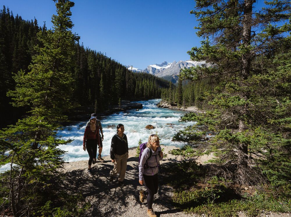 Four people hiking by a waterfall in Banff National Park