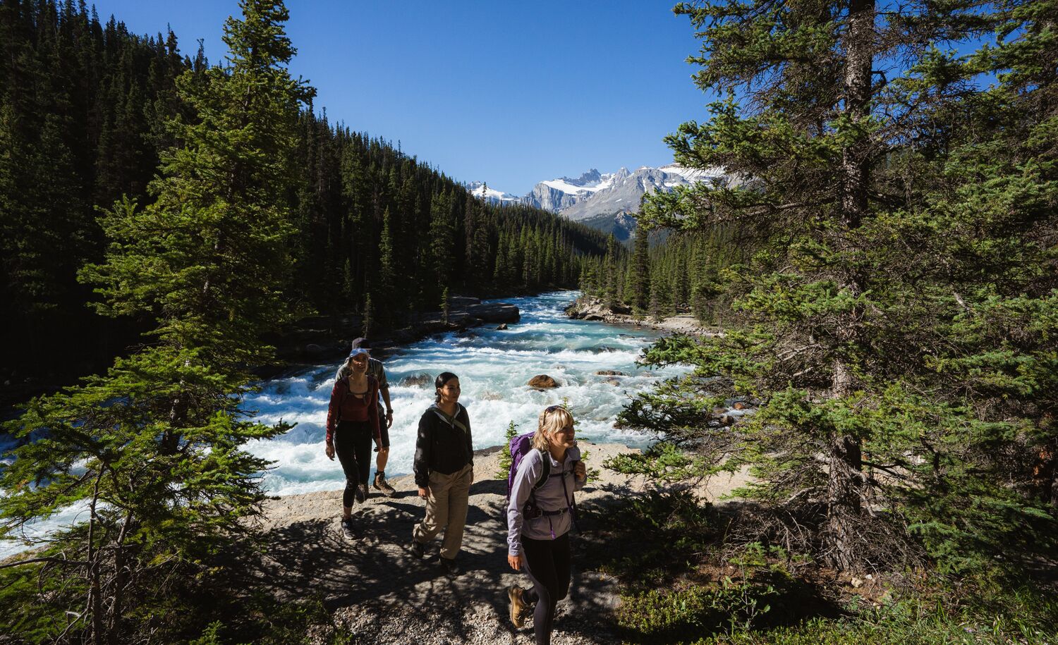 Four people hiking by a waterfall in Banff National Park