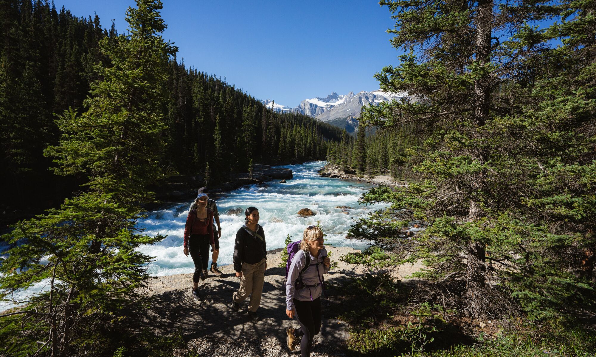 Four people hiking by a waterfall in Banff National Park