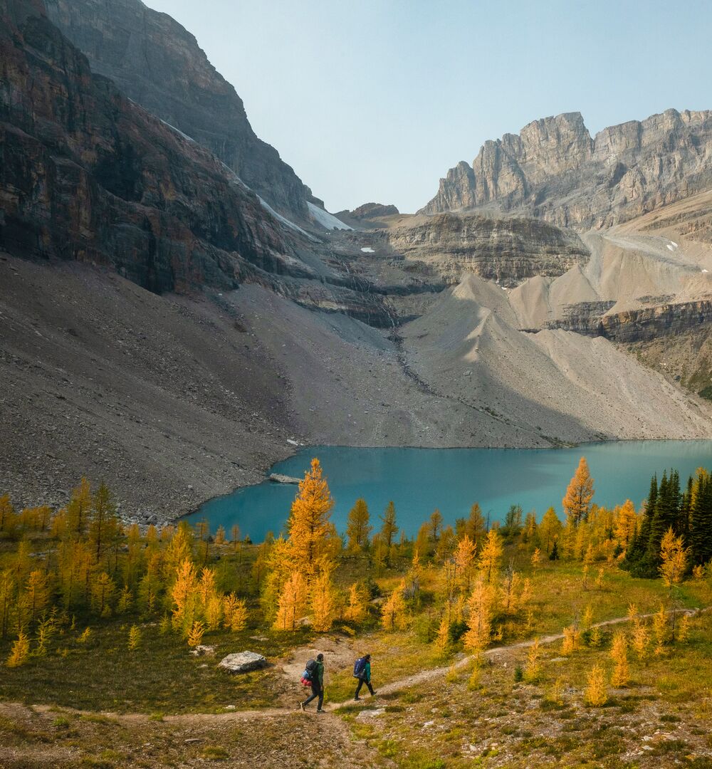 Hiking through the golden larches in Banff and Lake Louise