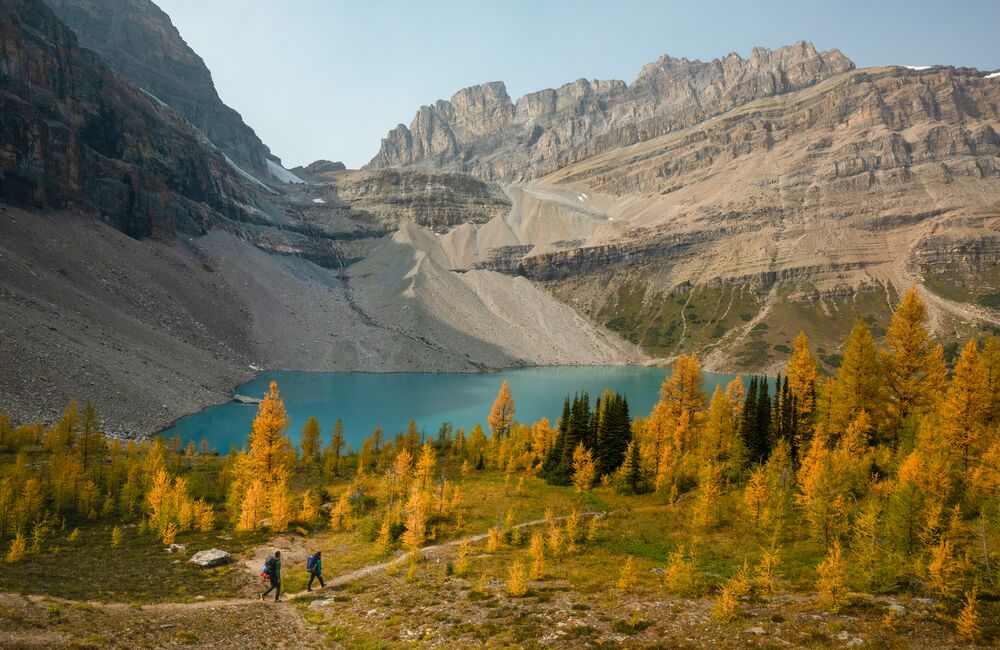 Hiking through the golden larches in Banff and Lake Louise
