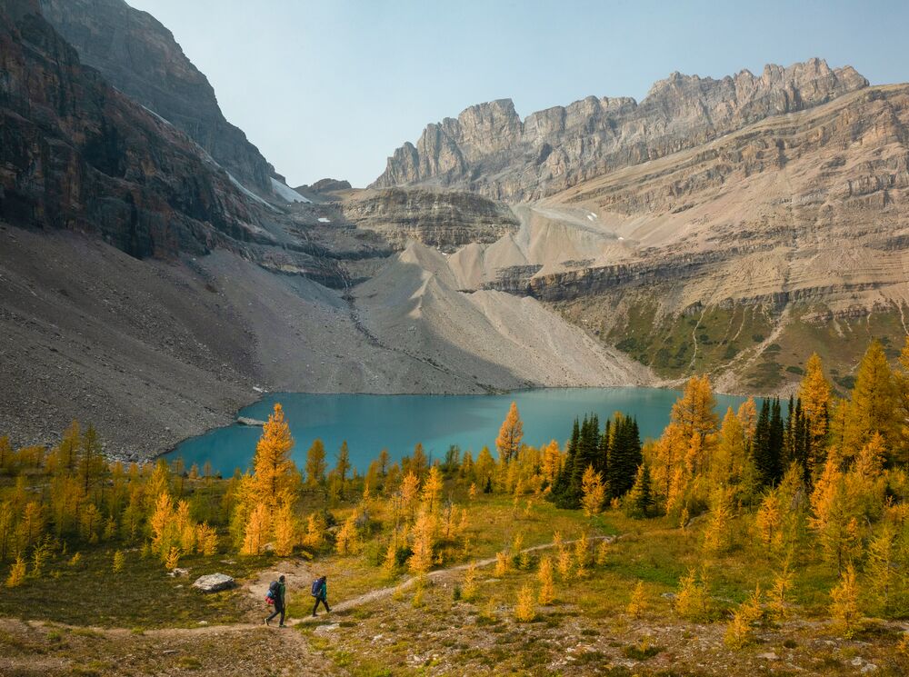 Two people hiking in Lake Louise during larch season, a popular thing to do in Banff in September