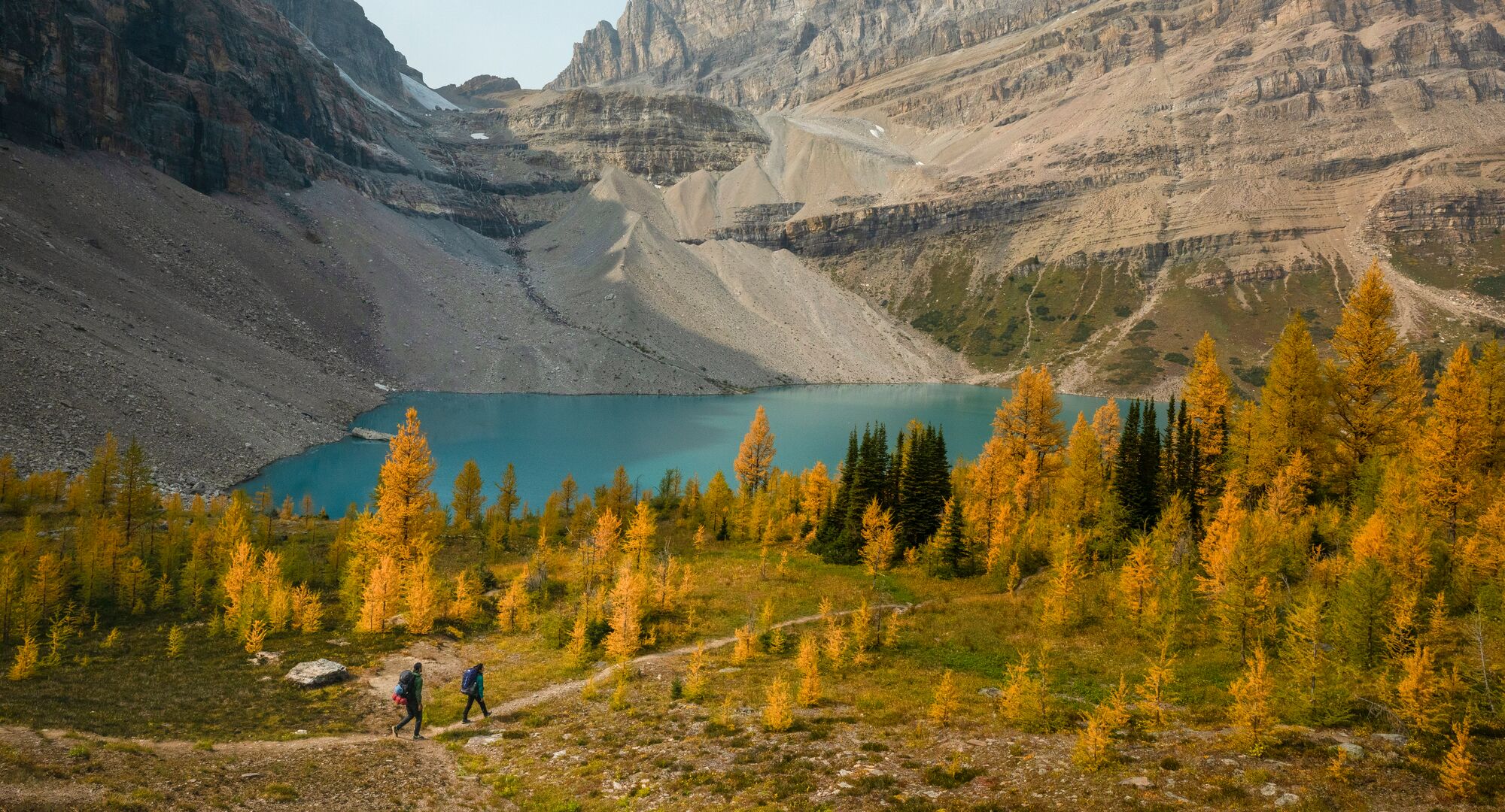 Hiking through the golden larches in Banff and Lake Louise