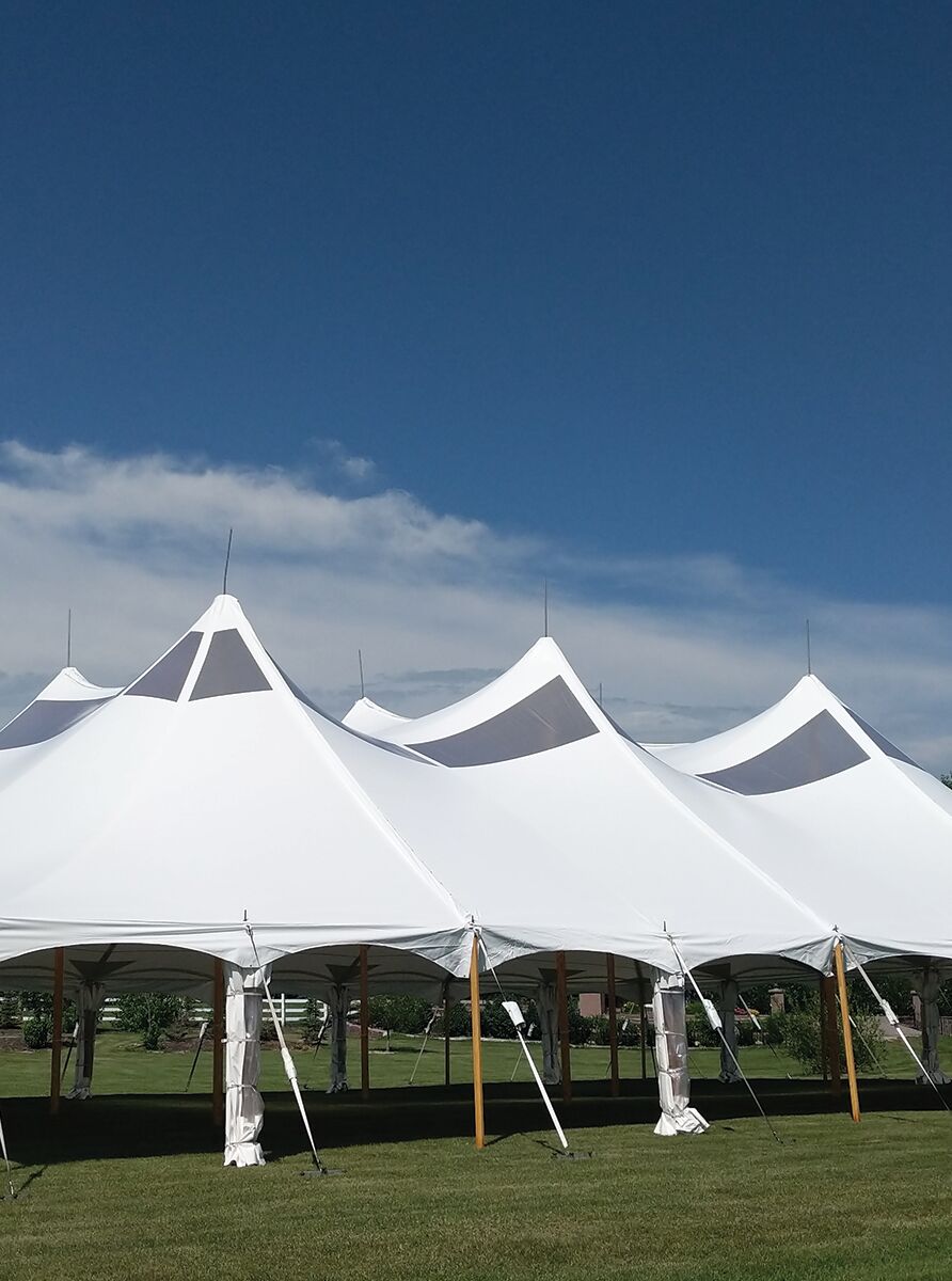 tents two person Tentsile Flite 3.0 Tree Tent keeping you off the Fresh Black Second Pop Körper:18 Monate CR16