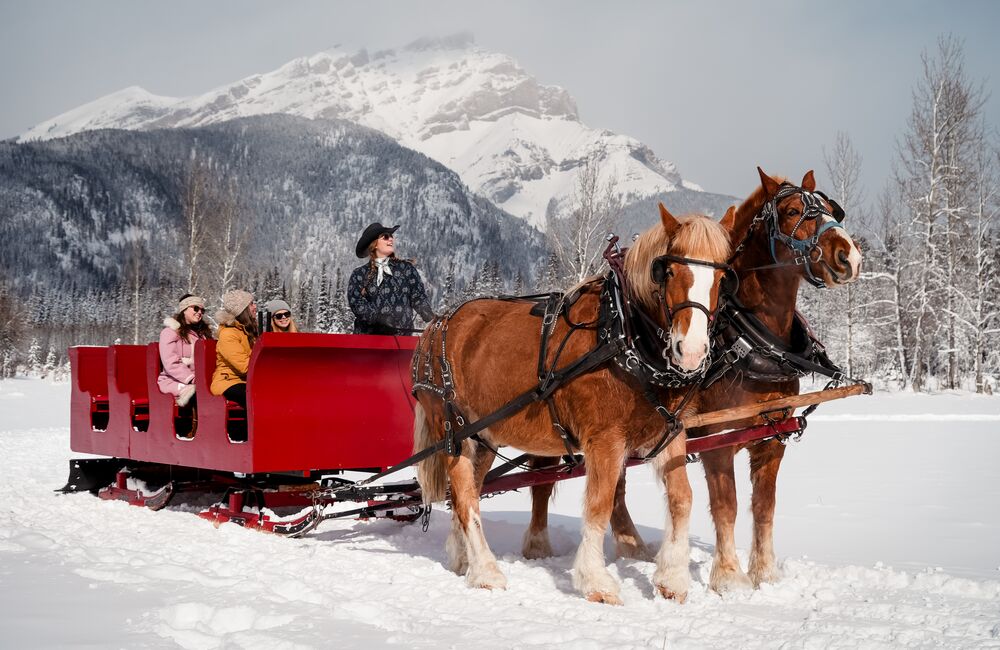 A group of people on a sleigh ride in Banff National Park