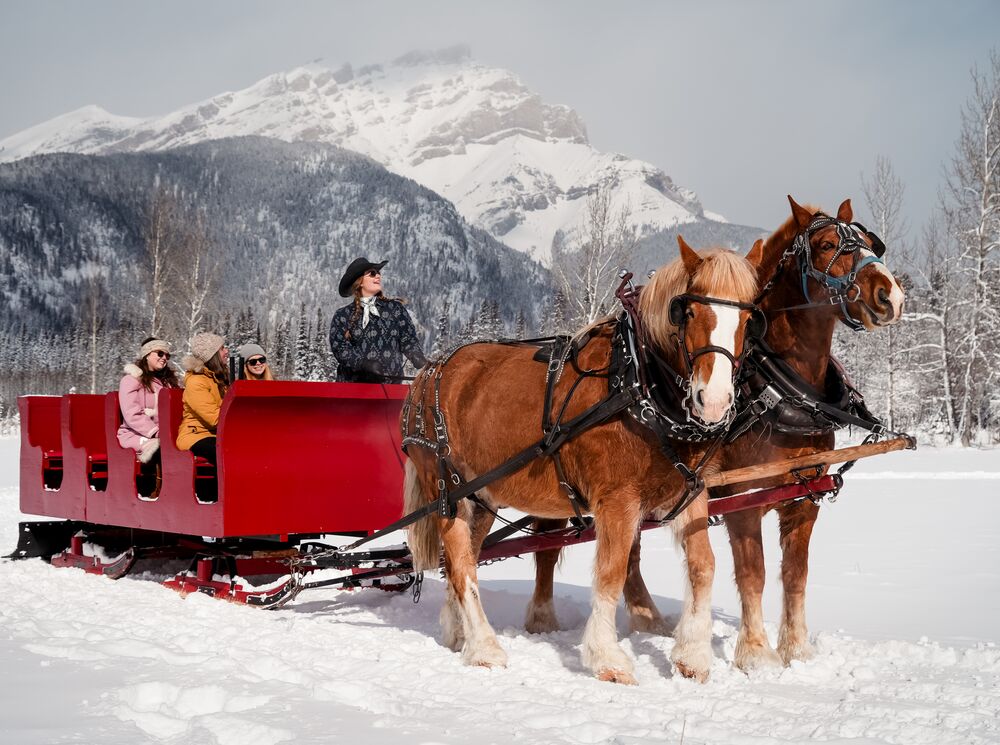 A group of people on a sleigh ride in Banff National Park