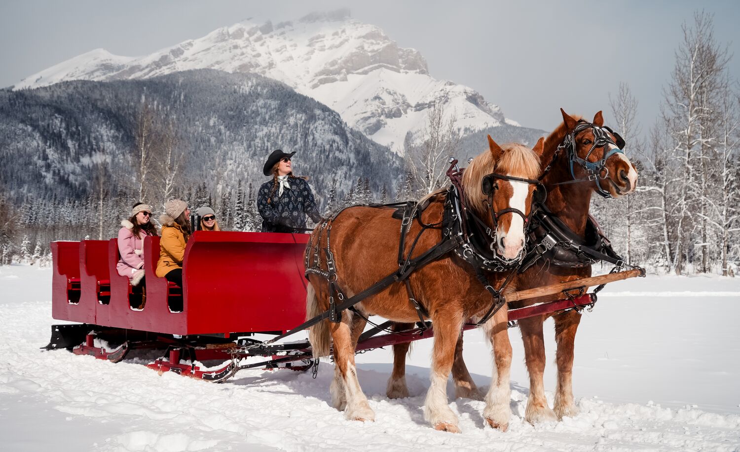 A group of people on a sleigh ride in Banff National Park