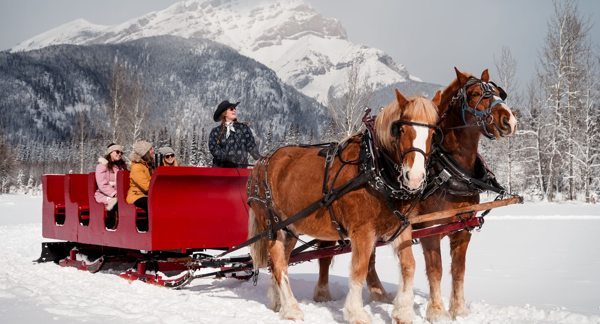 A group of people on a sleigh ride in Banff National Park