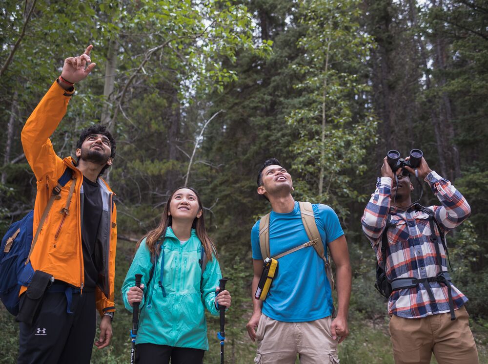Four people hiking in Banff National Park