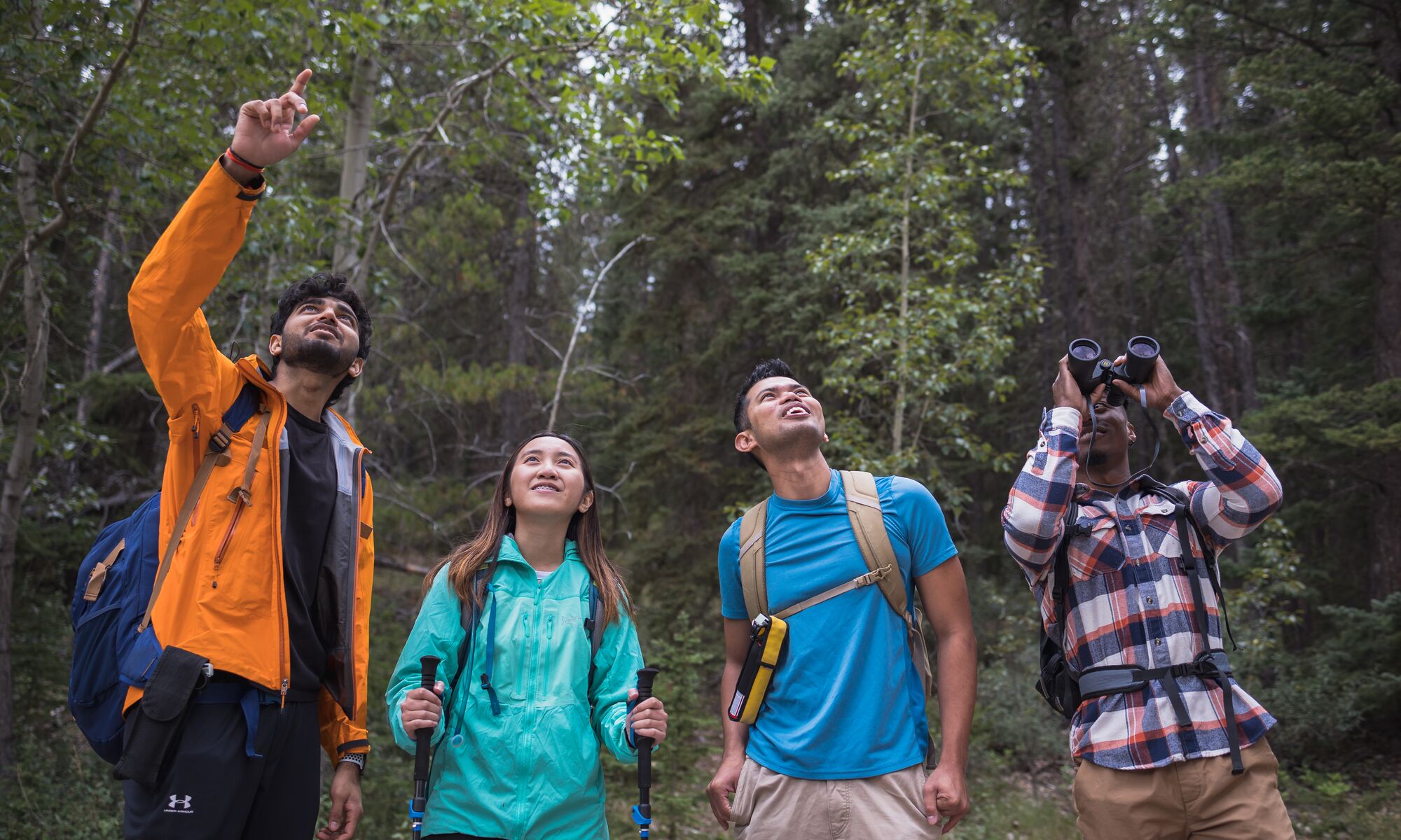 Four people hiking in Banff National Park