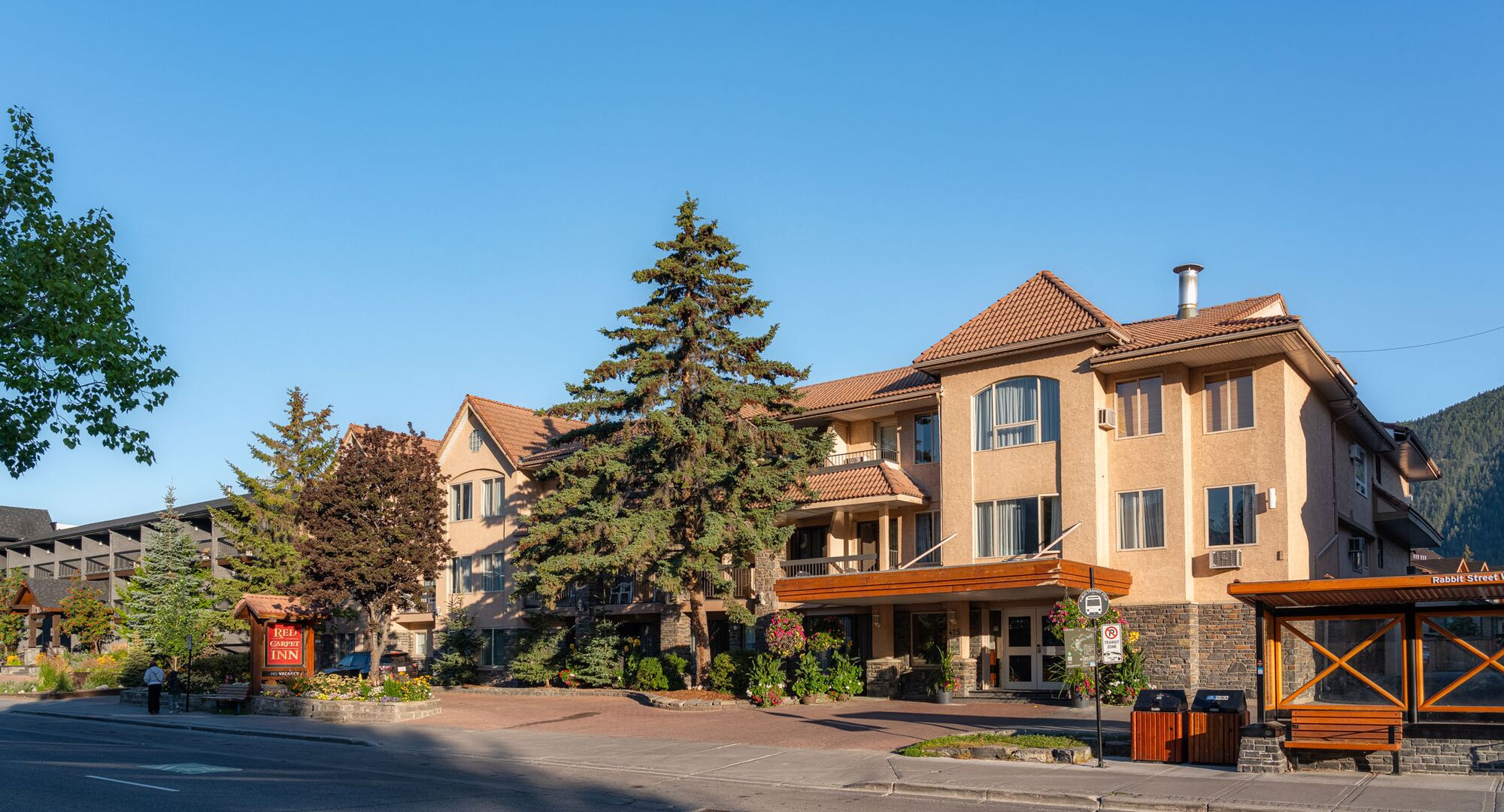 Summertime at the Red Carpet Inn