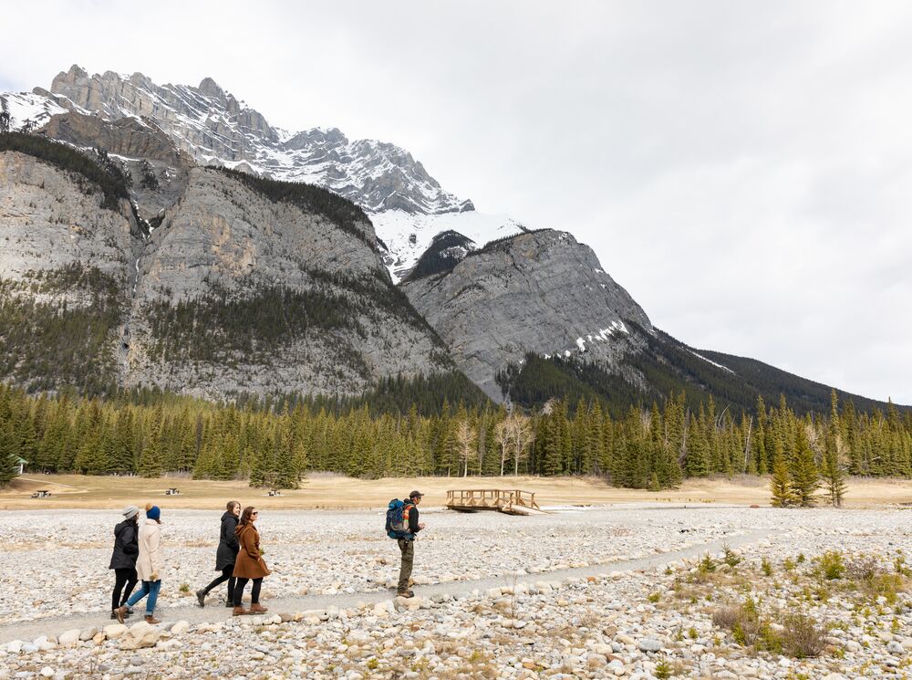 Four people on a guided medicine walk in Banff National Park