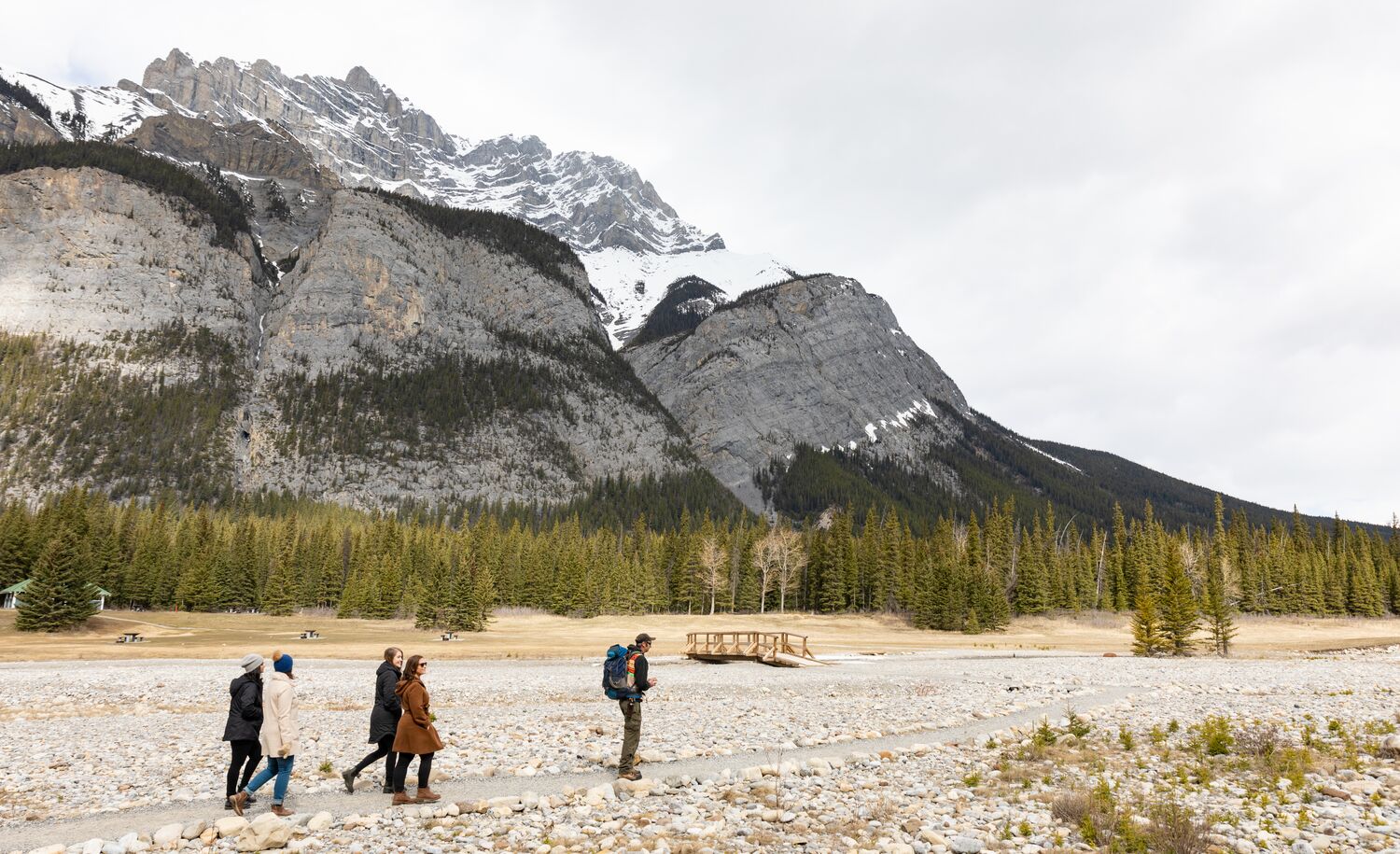 Four people on a guided medicine walk in Banff National Park