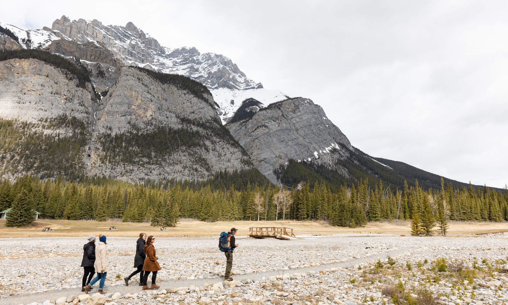 Four people on a guided medicine walk in Banff National Park