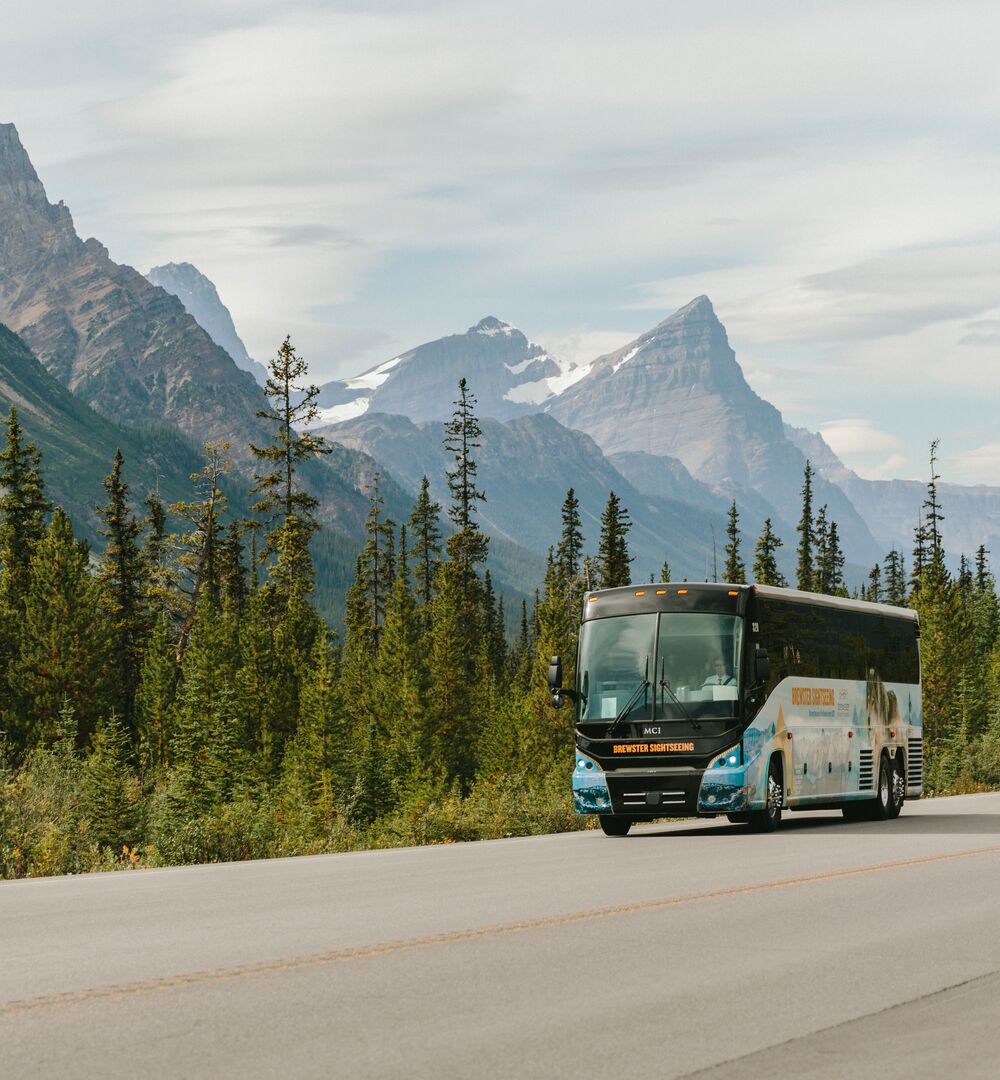 A Brewster Express bus driving in Banff National Park